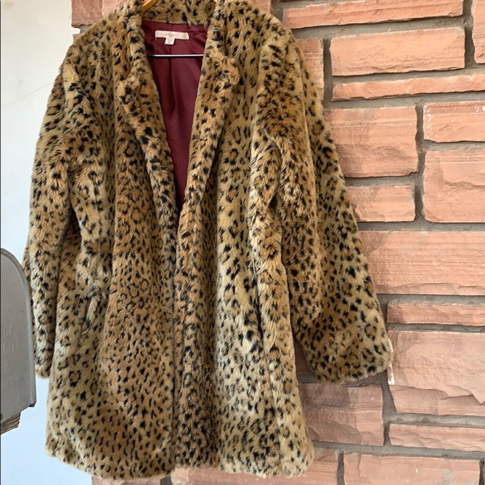 Fever animal print coat. A